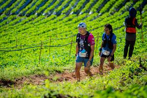 BIB: 
                            <button type="button" onclick="openModal(19161647)" class="btn btn-primary btn-sm float-right btn-popup" data-toggle="modal" data-target=".modal-high-quality">
                        <i class="fas fa-shopping-cart"></i> Add to Cart
                    </button>
                                            <button type="button" onclick="isThisMe(19161647, true)" class="btn btn-success btn-sm float-right btn-popup btn-isme hidden" data-toggle="tooltip" data-placement="bottom" title="นี่คือรูปของคุณใช่ไหม คลิกที่นี่เพื่อเอาเข้าอัลบั้ม">
                        <i class="fas fa-plus"></i> Add to album
                    </button>
                    <button type="button" onclick="isThisMe(19161647, false)" class="btn btn-warning btn-sm float-right btn-popup btn-isnotme hidden">
                        <i class="fas fa-ban"></i> Remove from album
                    </button>